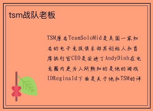 tsm战队老板